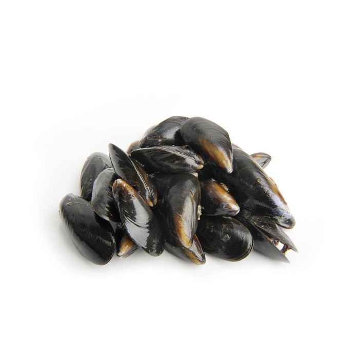 Tarbett's Fishmongers - Shetland Mussels (1kg)