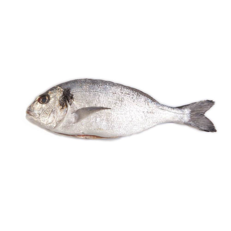 Tarbett's Fishmongers - Seabream (Each)